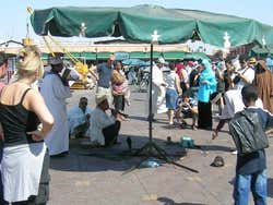 Charmeurs de serpents à Jemaa el-Fna