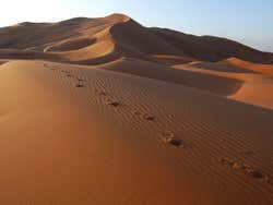 Désert du Sahara, Erg Chebbi