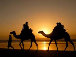 Essaouira, balade en chameau sur la plage