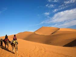 Excursion dans le désert de Merzouga, chameaux