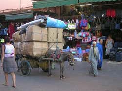 Histoire de Marrakech, vie quotidienne