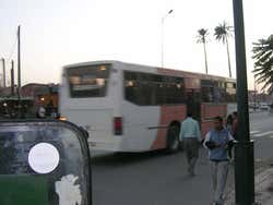 Transports de Marrakech, bus urbain