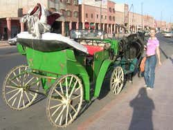 Ballade en calèche dans Marrakech