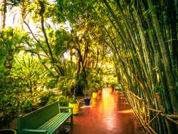 Parcourez les jardins