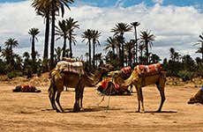 Guide de Marrakech